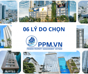 6 lý do chọn PPMVN